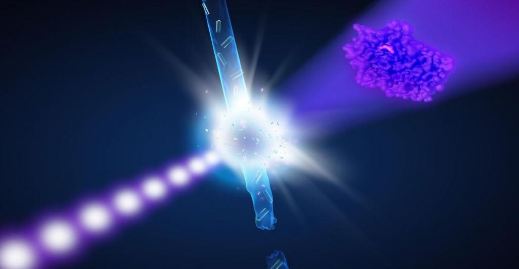 безопасность рентгена безопасность проведения рентгенографии